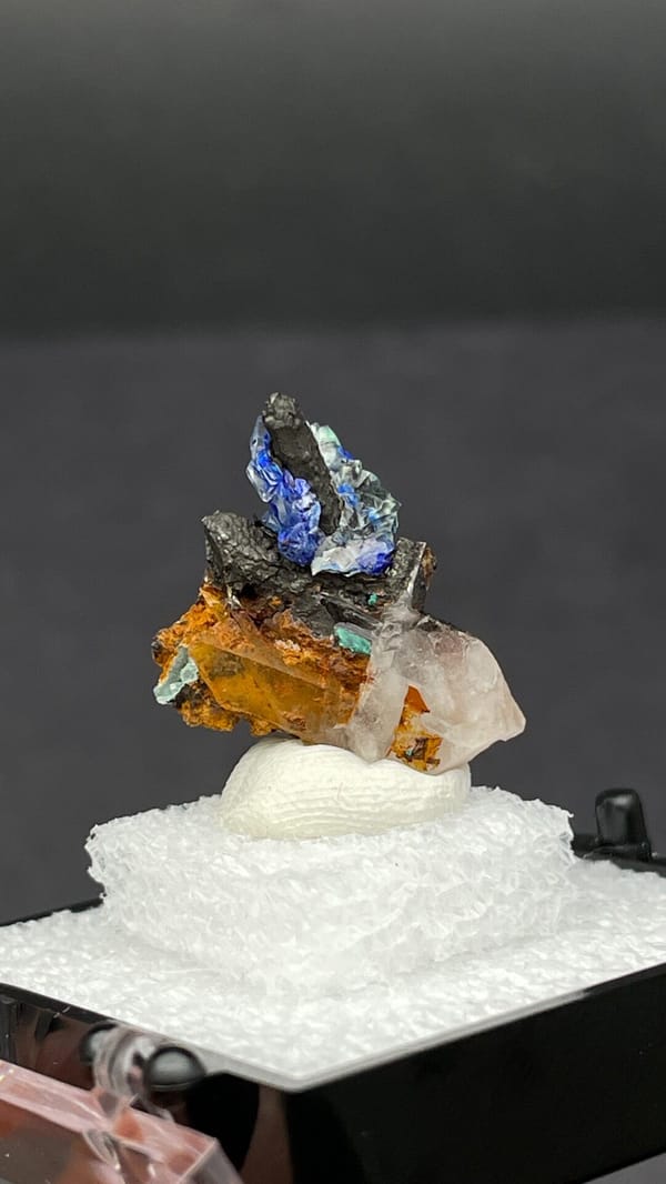Electric blue azurite with green malachite on limonite from Morocco, in a box, top view