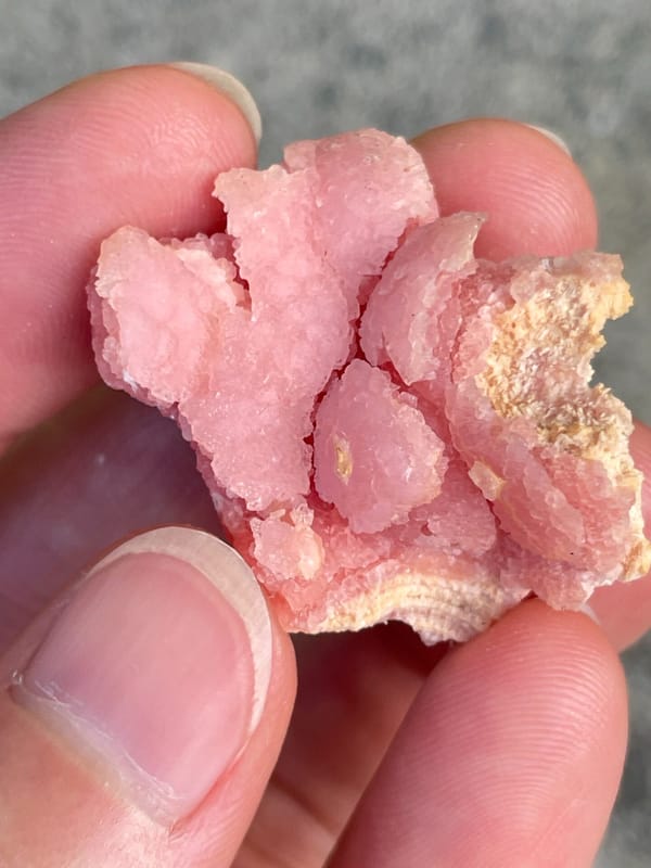 Bright pink botryoidal rhodochrosite from Argentina, held in hand