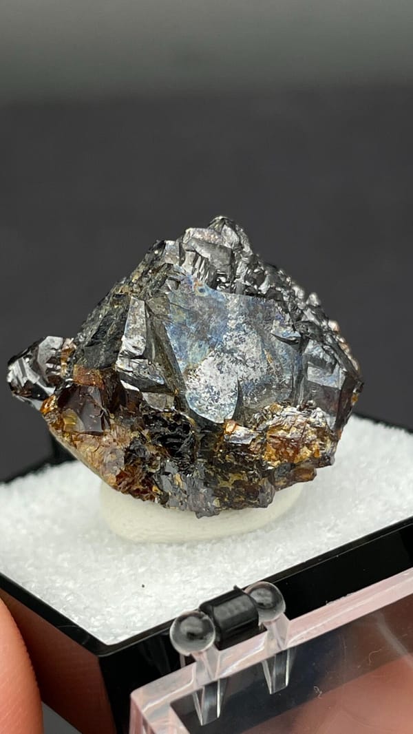 Dark brown Tennessee sphalerite crystal group from the USA, in a display box, close-up of the crystal faces