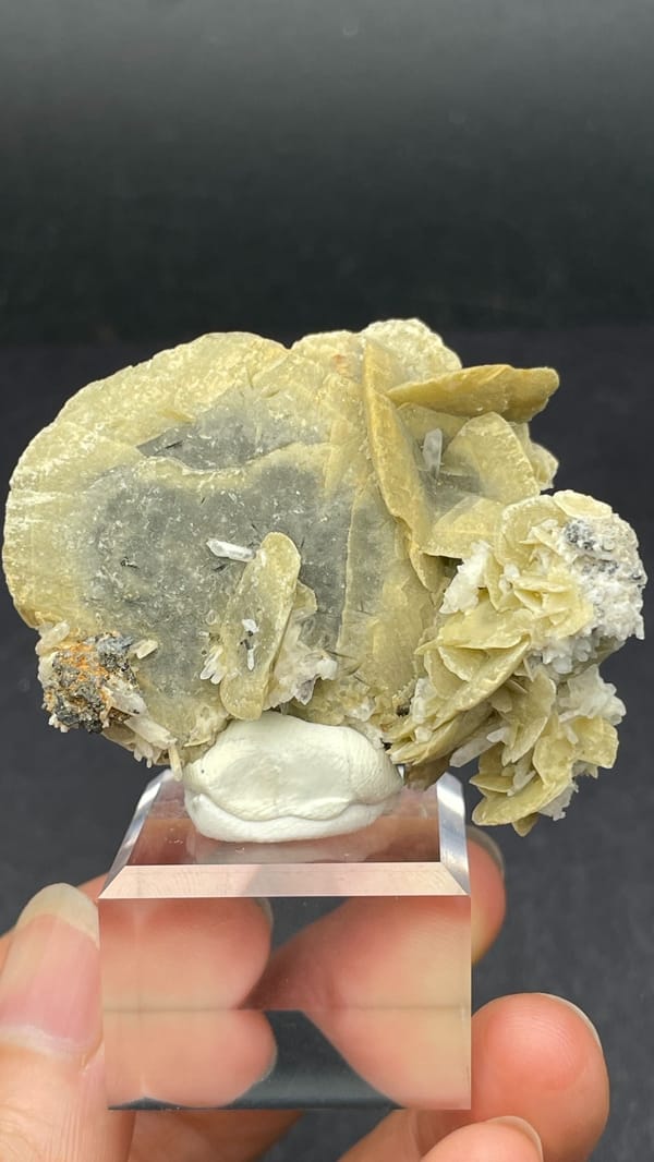 Cream siderite crystals on grey quartz from Inner Mongolia, China, on a stand