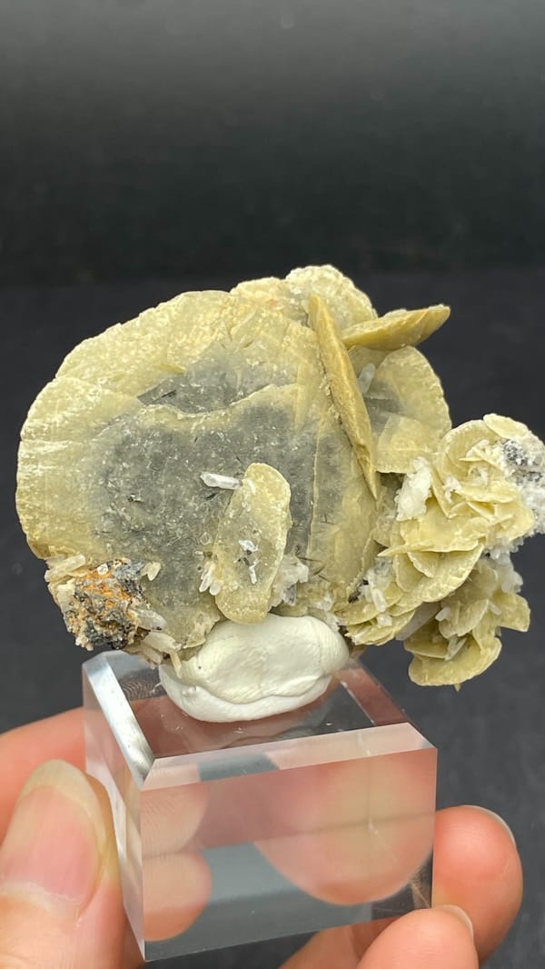Cream siderite crystals on grey quartz from Inner Mongolia, China, close-up of the crystal faces