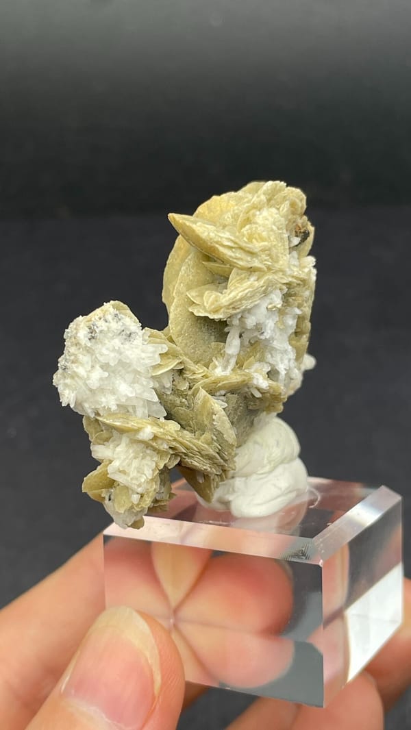 Cream siderite crystals on grey quartz from Inner Mongolia, China, reverse side