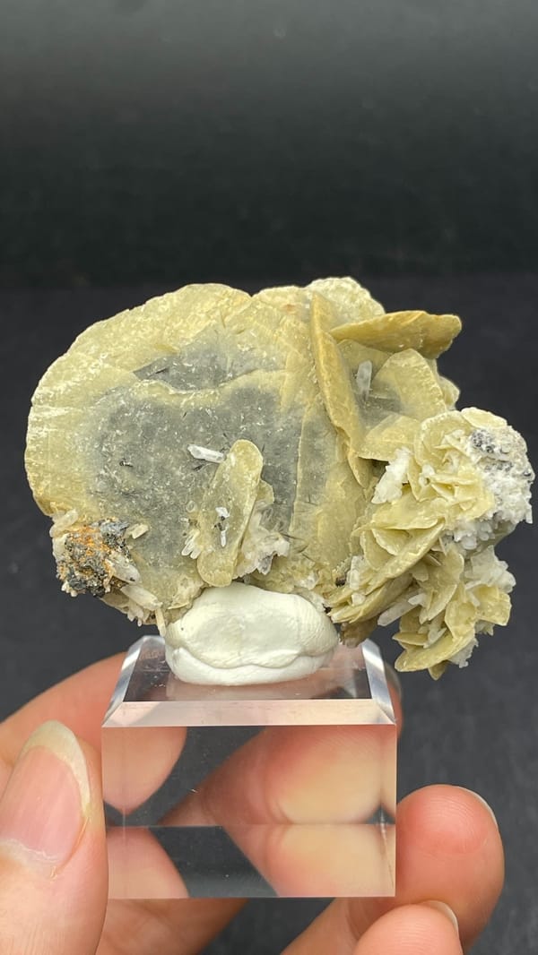 Cream siderite crystals on grey quartz from Inner Mongolia, China, top view
