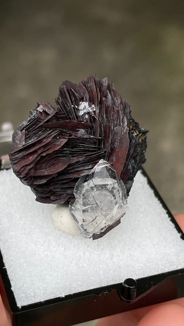 Dark metallic specular hematite rosette with clear quartz, Jinlong, Guangdong, second angle