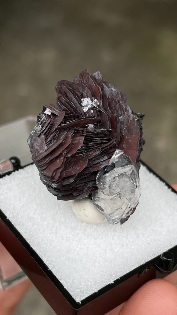 Dark metallic specular hematite rosette with clear quartz, Jinlong, Guangdong, close-up of the crystal faces