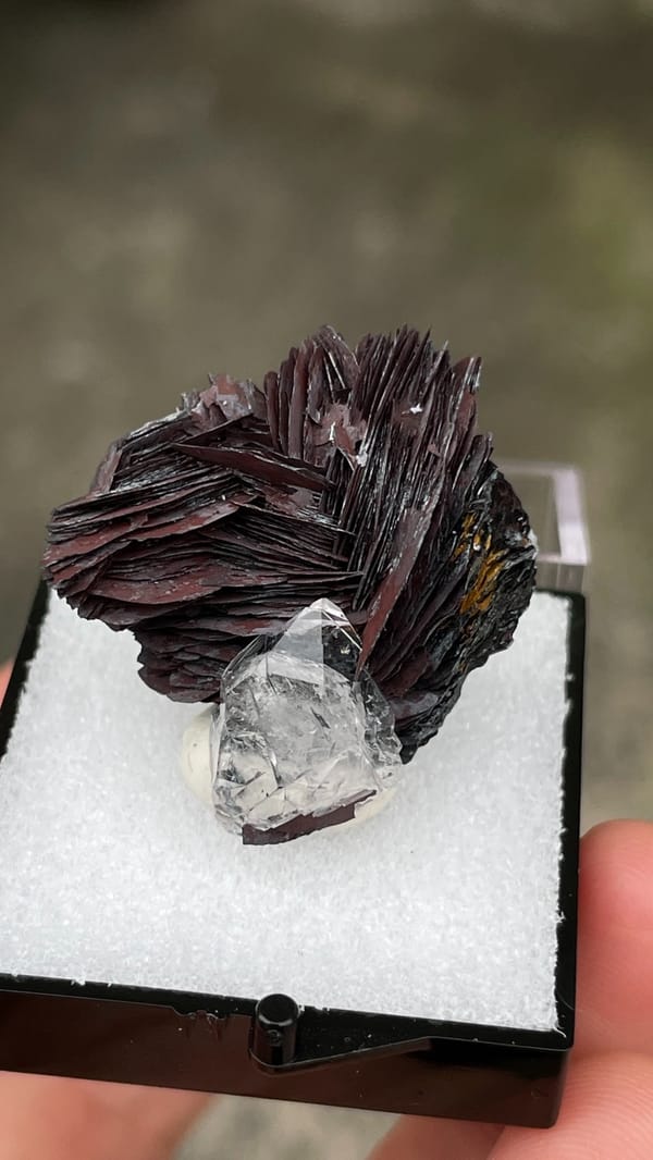 Dark metallic specular hematite rosette with clear quartz, Jinlong, Guangdong, top view