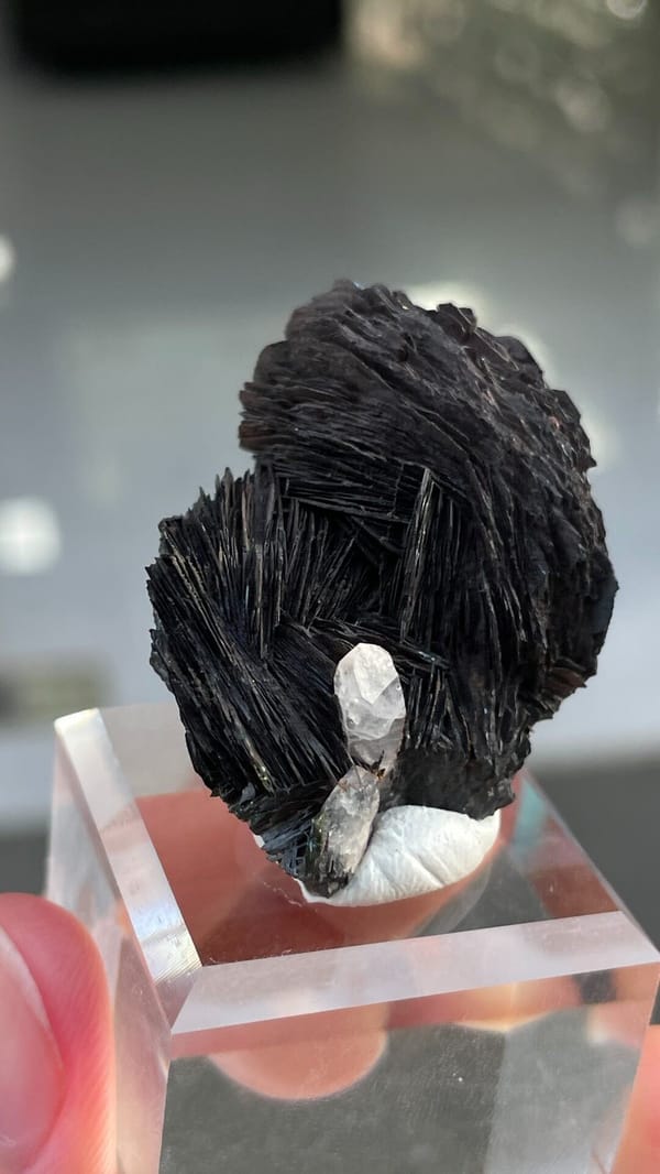 Black specular hematite flower with white quartz from Guangdong, China, on a stand