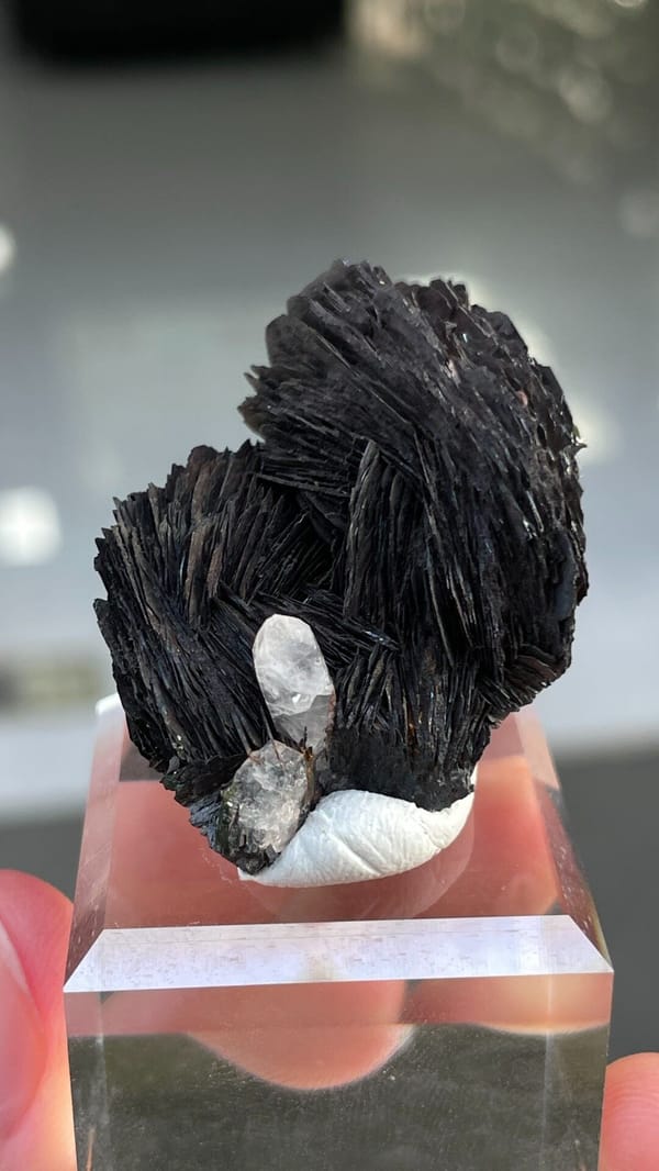 Black specular hematite flower with white quartz from Guangdong, China, second angle