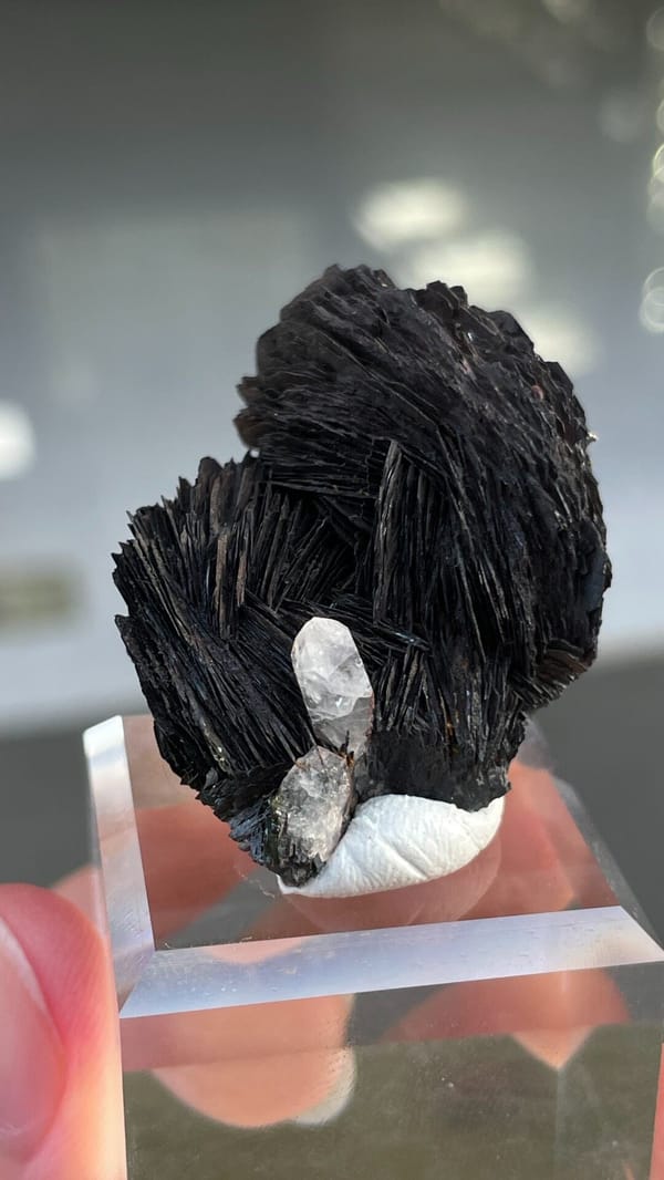 Black specular hematite flower with white quartz from Guangdong, China, reverse side