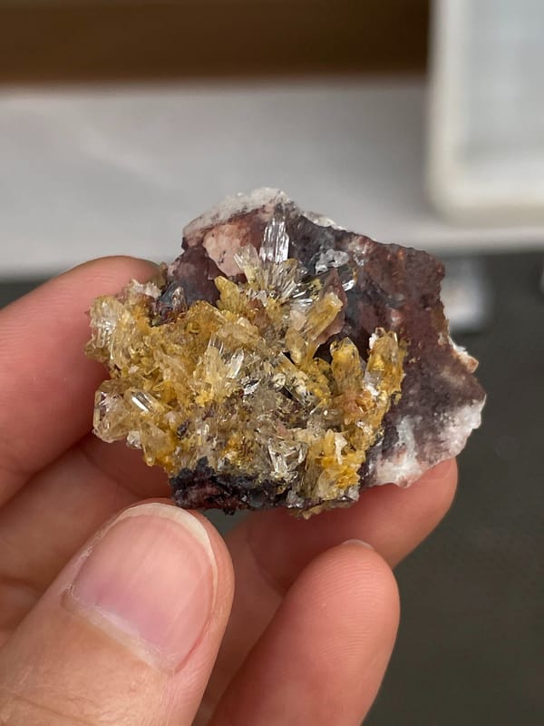 Amber-gold creedite crystals on brown matrix from Guizhou, China, close-up of the crystal faces