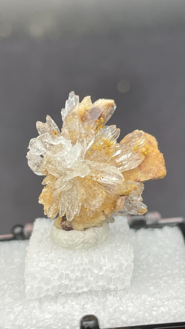 Colourless creedite and gypsum crystal flower from Guizhou, China, in a box