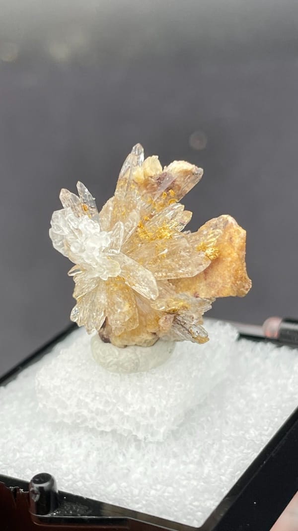 Colourless creedite and gypsum crystal flower from Guizhou, China, in a box, close-up of the crystal faces
