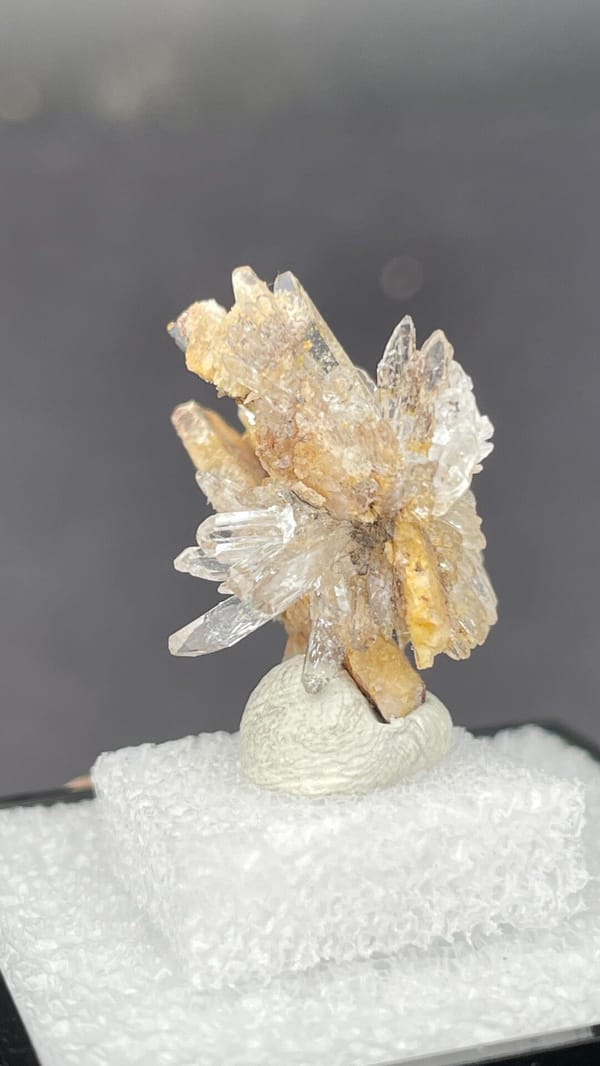 Colourless creedite and gypsum crystal flower from Guizhou, China, in a box, reverse side