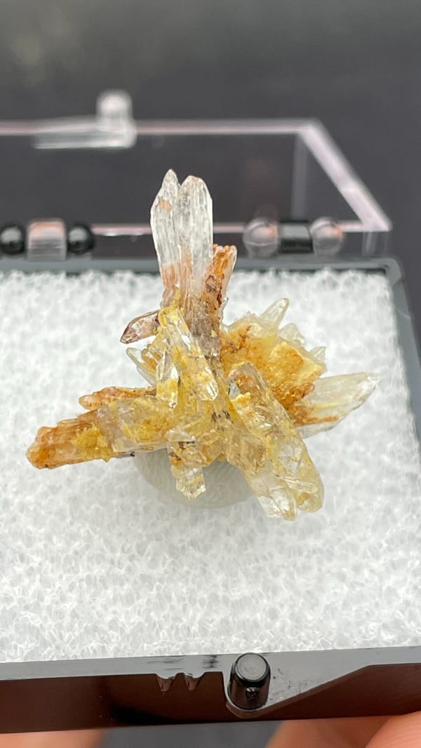 Colourless and amber creedite and gypsum spray from Guizhou, China, in a box