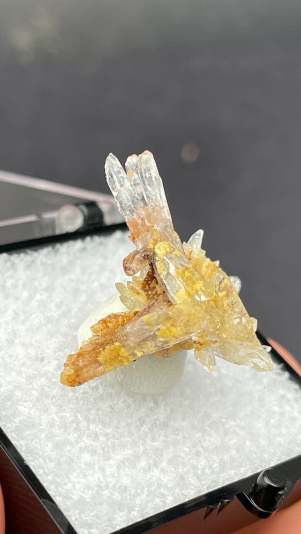 Colourless and amber creedite and gypsum spray from Guizhou, China, in a box, second angle