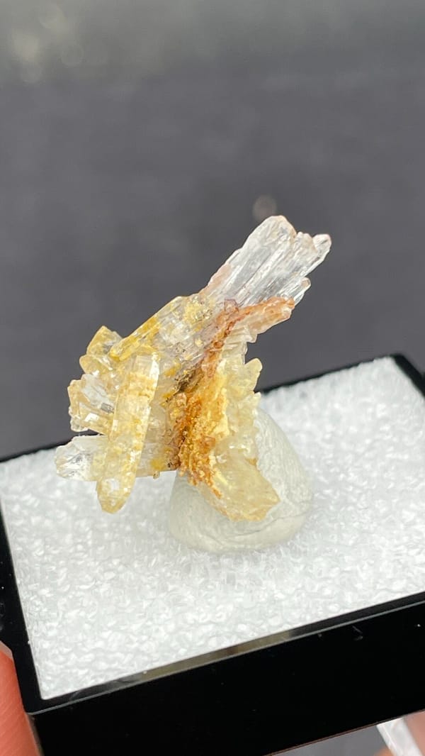 Colourless and amber creedite and gypsum spray from Guizhou, China, in a box, reverse side