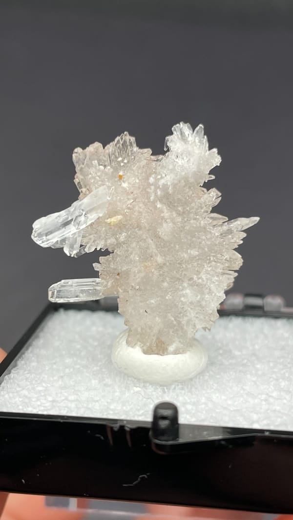 Colourless spiky radiating creedite spray from Guizhou, China, in a display box