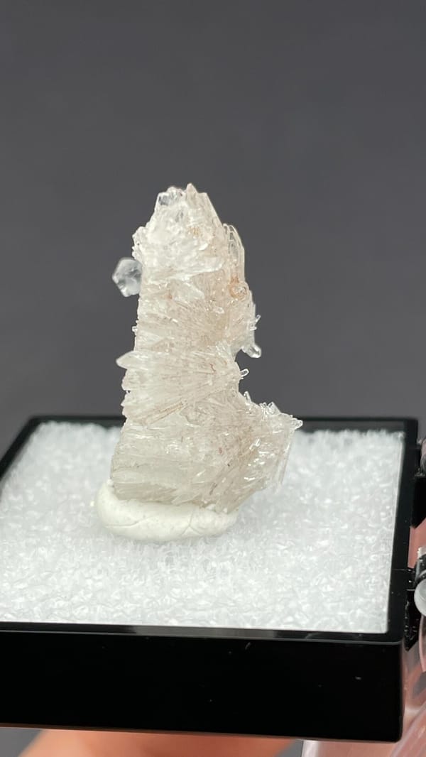 Colourless spiky radiating creedite spray from Guizhou, China, in a display box, second angle