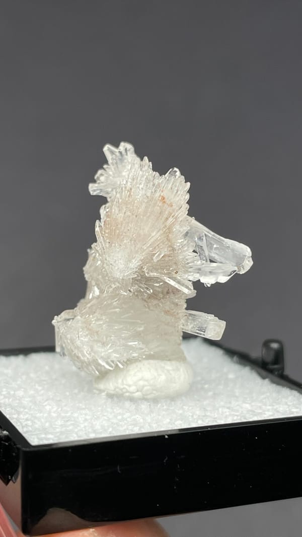 Colourless spiky radiating creedite spray from Guizhou, China, in a display box, reverse side