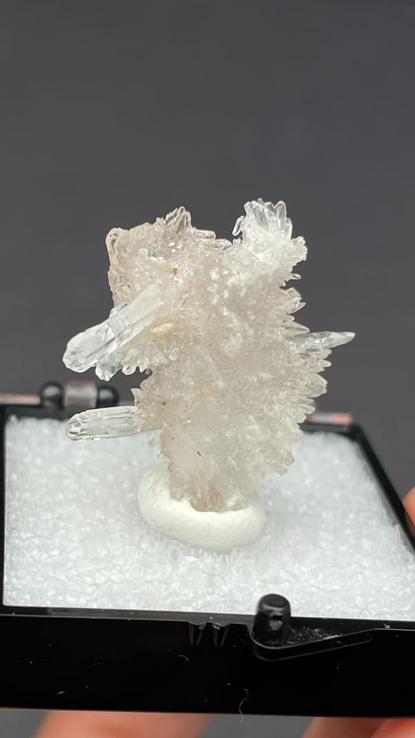 Colourless spiky radiating creedite spray from Guizhou, China, in a display box, top view