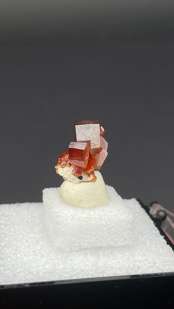 Bright red vanadinite crystal cluster from Morocco, in a display box, second angle