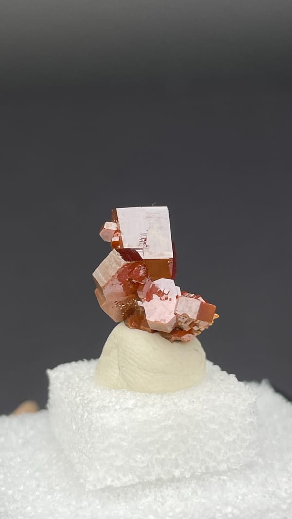 Bright red vanadinite crystal cluster from Morocco, in a display box, reverse side