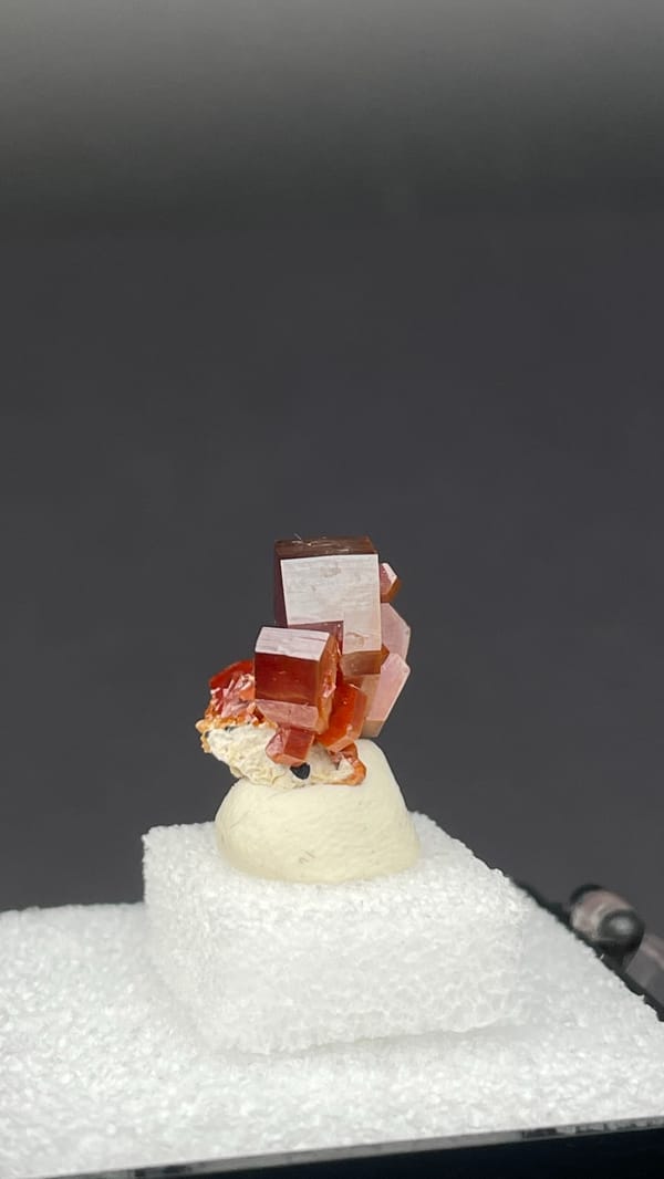 Bright red vanadinite crystal cluster from Morocco, in a display box, top view
