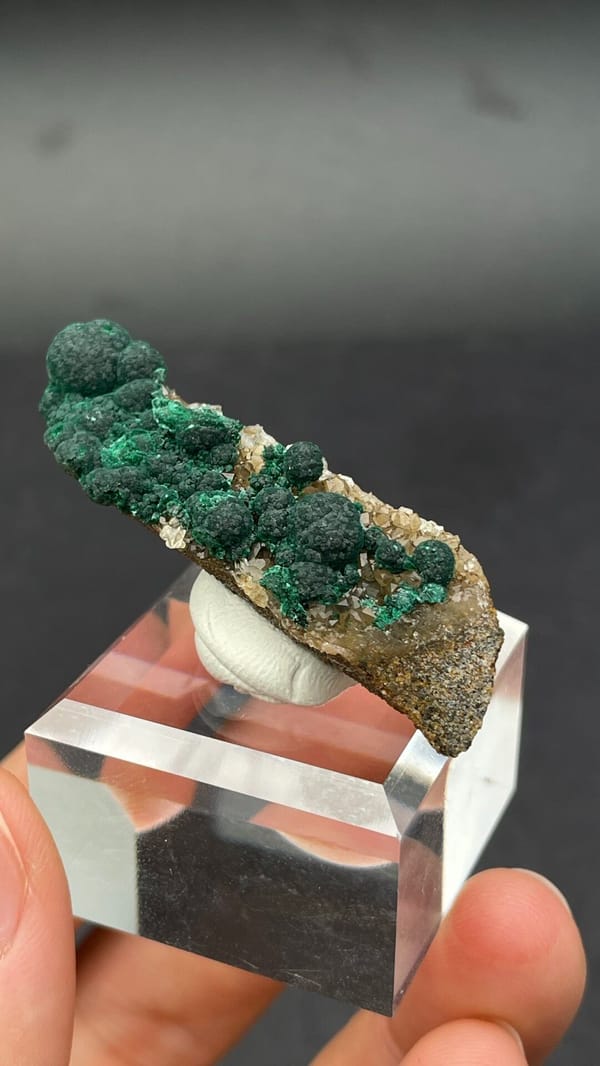 Dark green botryoidal malachite balls on a thin rock blade from DR Congo, reverse side