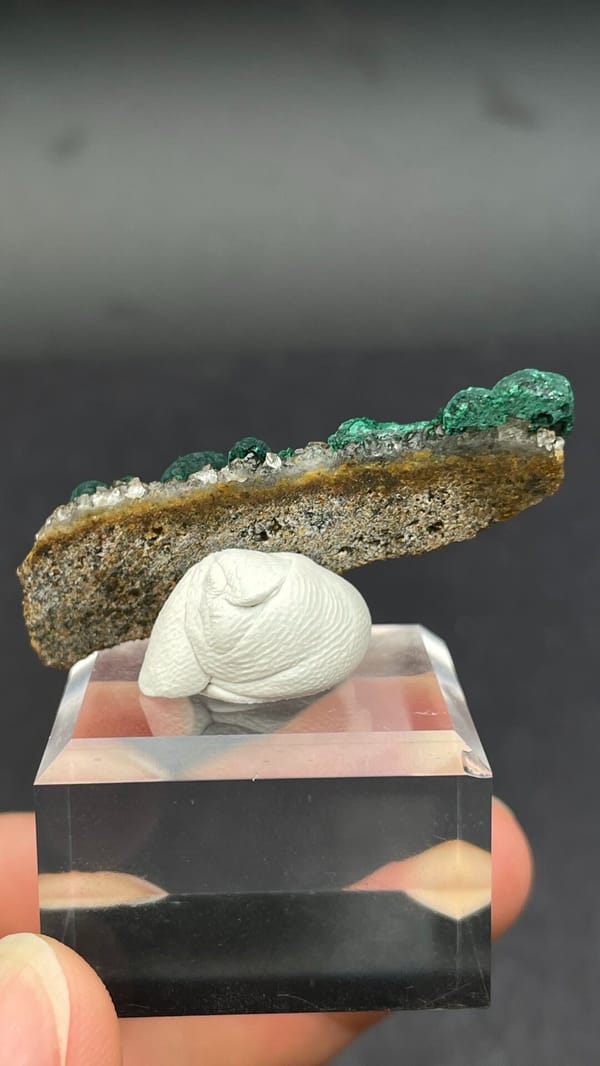Dark green botryoidal malachite balls on a thin rock blade from DR Congo, top view