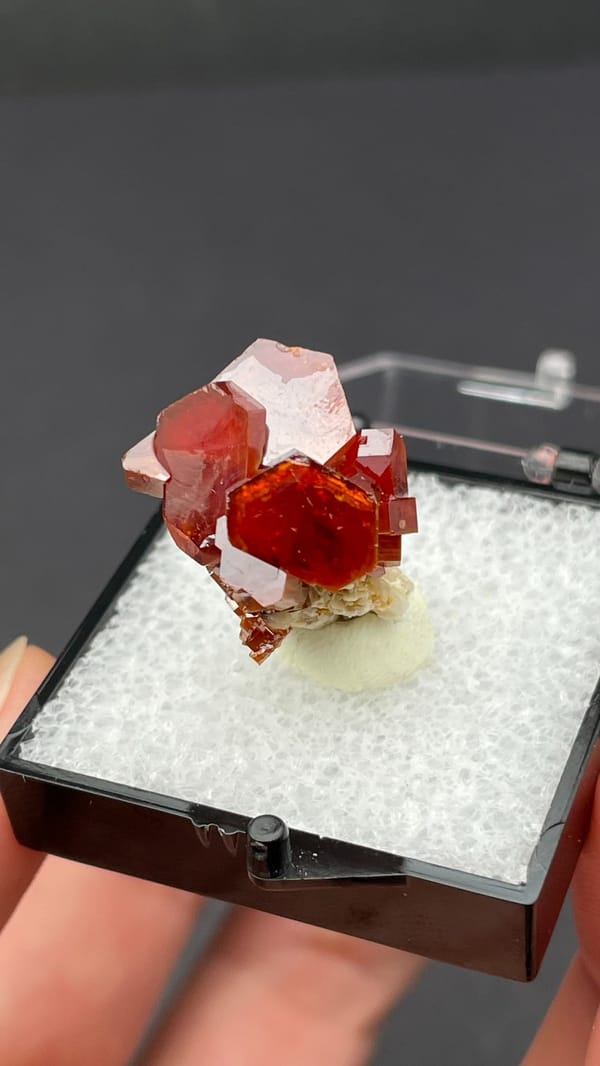 Deep red vanadinite crystal cluster from Morocco, in a display box