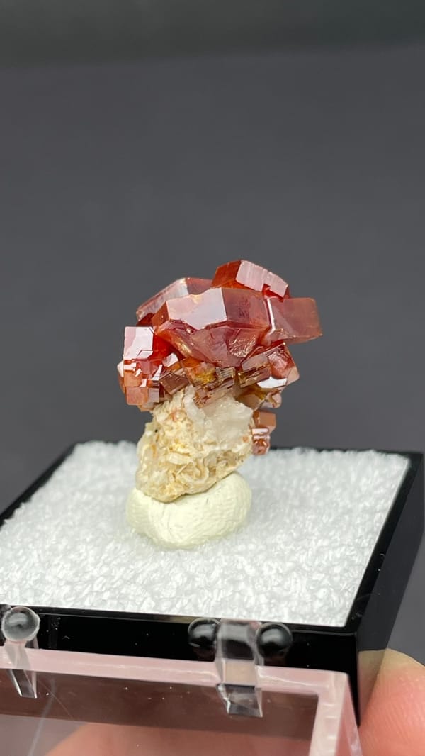 Deep red vanadinite crystal cluster from Morocco, in a display box, reverse side