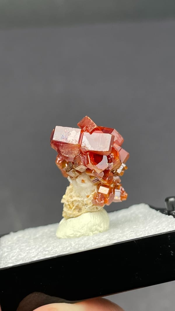 Deep red vanadinite crystal cluster from Morocco, in a display box, top view