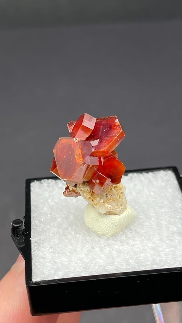 Deep red vanadinite crystal cluster from Morocco, in a display box, detail of the matrix contact