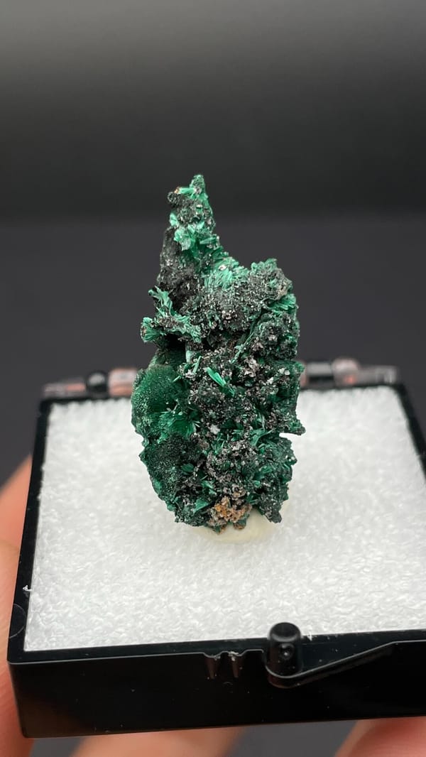 Bright green malachite on dark matrix from Guangdong, China, in a display box