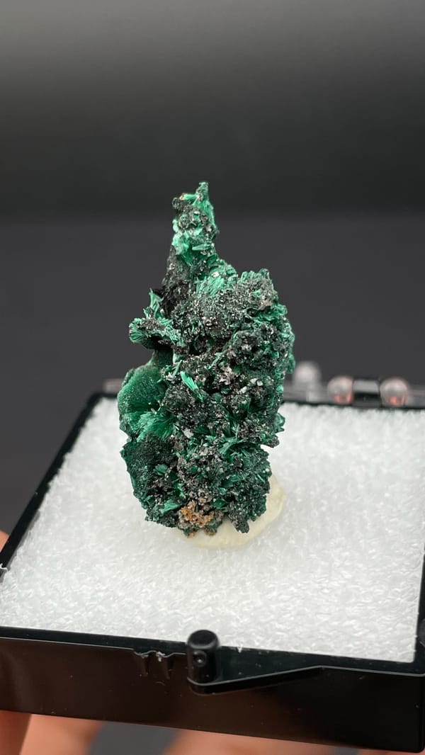 Bright green malachite on dark matrix from Guangdong, China, in a display box, second angle