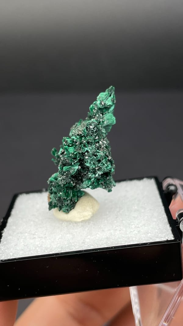 Bright green malachite on dark matrix from Guangdong, China, in a display box, close-up of the crystal faces