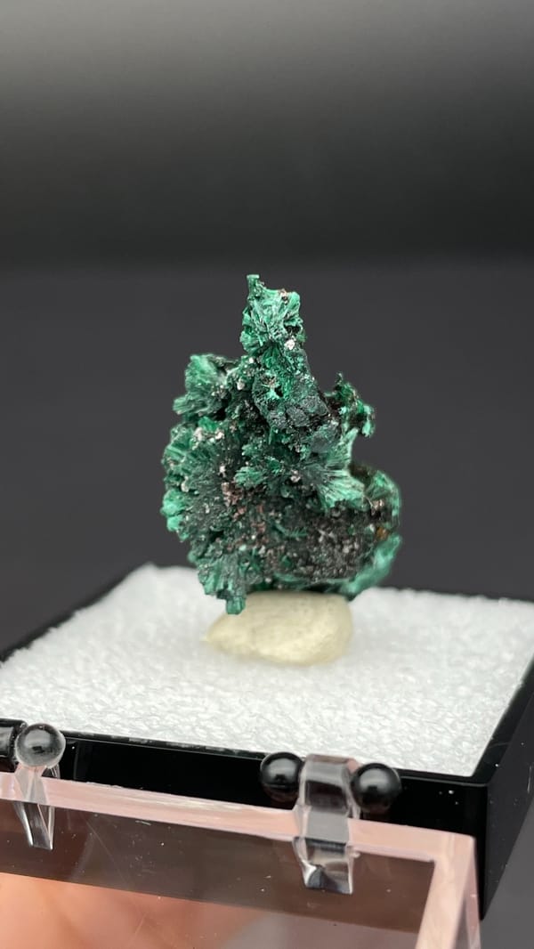 Bright green malachite on dark matrix from Guangdong, China, in a display box, reverse side