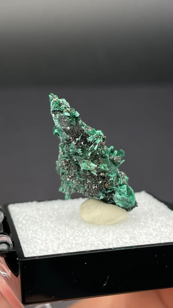 Bright green malachite on dark matrix from Guangdong, China, in a display box, top view
