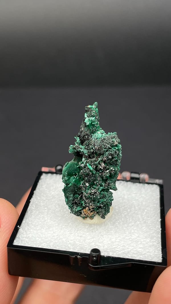 Bright green malachite on dark matrix from Guangdong, China, in a display box, detail of the matrix contact