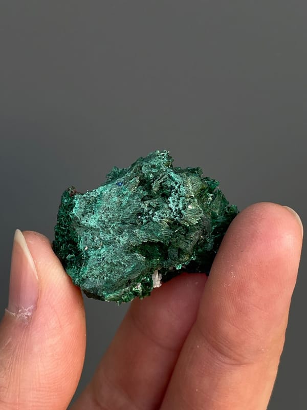 Deep blue azurite crystals in green malachite from Anhui, China, detail of the matrix contact
