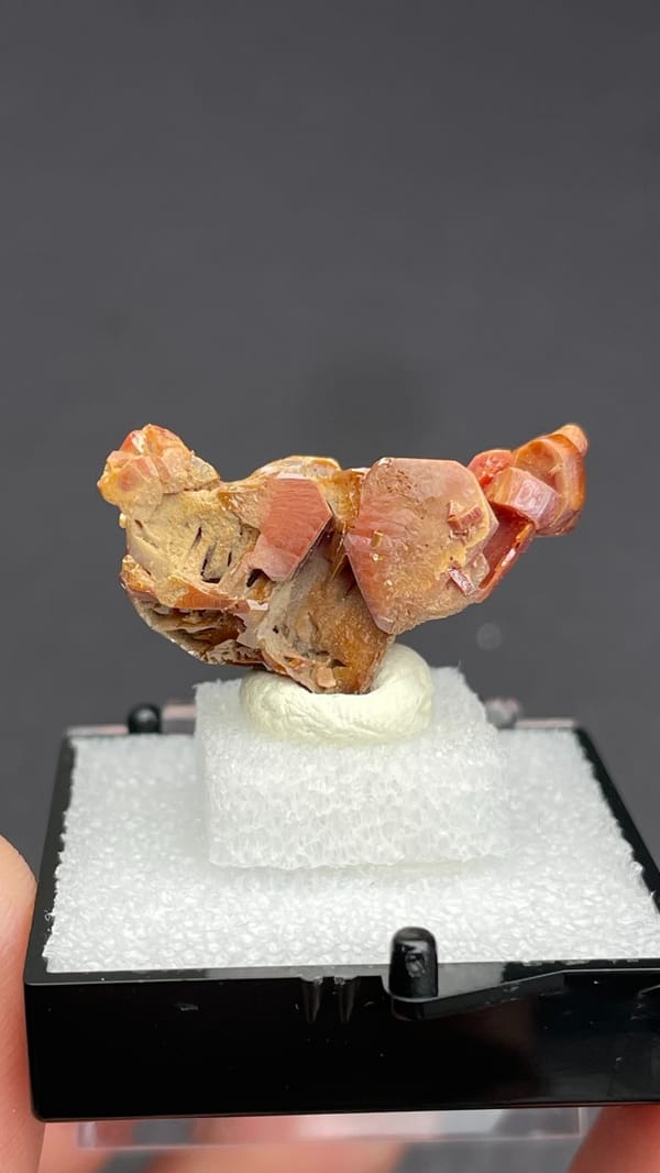 Orange vanadinite plates standing on a tan matrix from Morocco, in a box