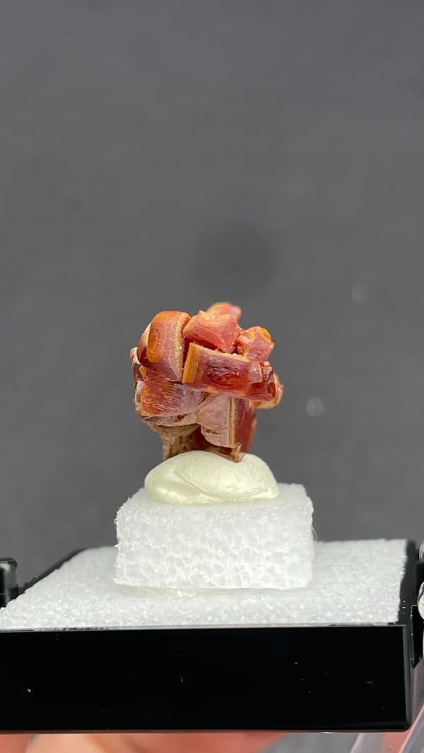 Orange vanadinite plates standing on a tan matrix from Morocco, in a box, reverse side