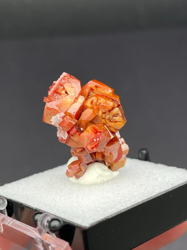 Red-orange vanadinite crystal cluster from Morocco, in a display box, reverse side