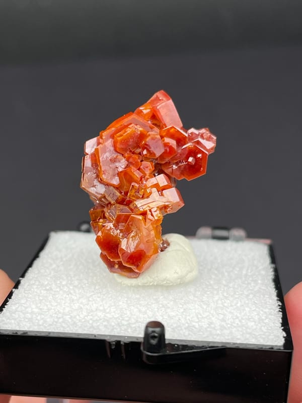 Red-orange vanadinite crystal cluster from Morocco, in a display box, top view
