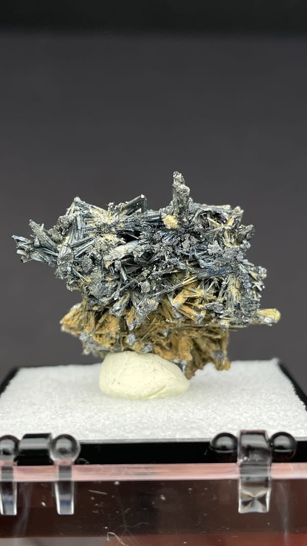 Silver-grey radiating stibnite needle spray from Guizhou, China, in a display box, close-up of the crystal faces