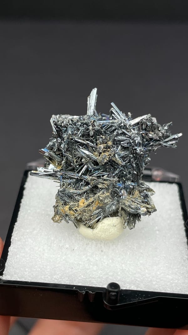 Silver-grey radiating stibnite needle spray from Guizhou, China, in a display box, reverse side