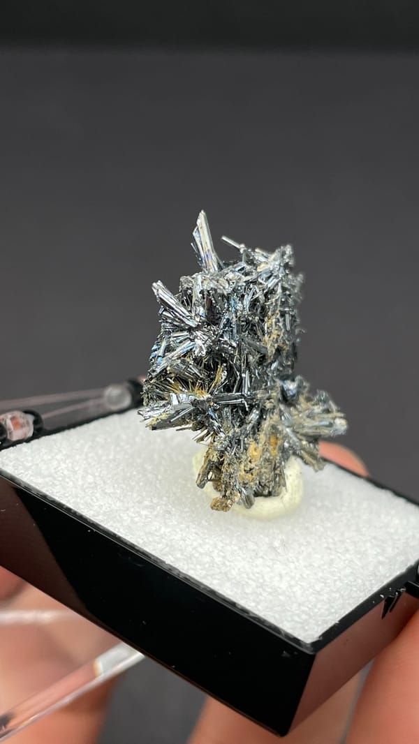 Silver-grey radiating stibnite needle spray from Guizhou, China, in a display box, top view
