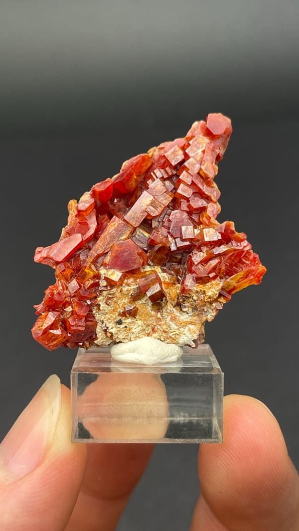 Thin plate stacked with red vanadinite crystals from Morocco, on a stand
