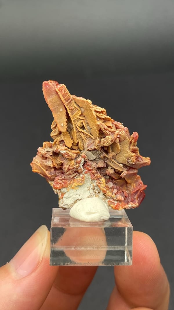 Thin plate stacked with red vanadinite crystals from Morocco, detail of the matrix contact