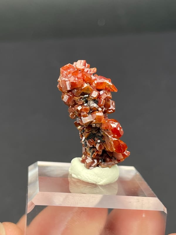 Matrix covered in red-orange vanadinite plates from Morocco, on an acrylic stand, close-up of the crystal faces